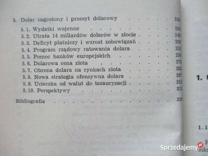 Złoto i dolar KPiłejko ekonomia socjologia Klein Łódź