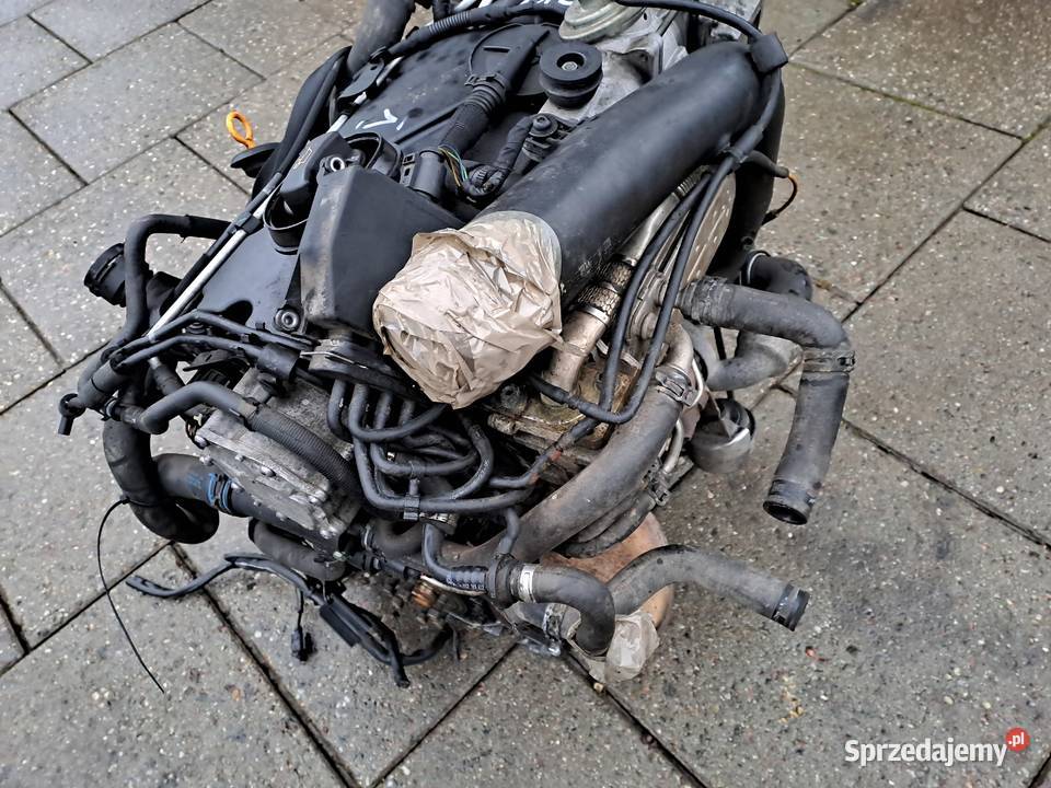 Volkswagen Golf V 19 TDi 105 silnik kompletny Jastrzębie-Zdrój sprzedam