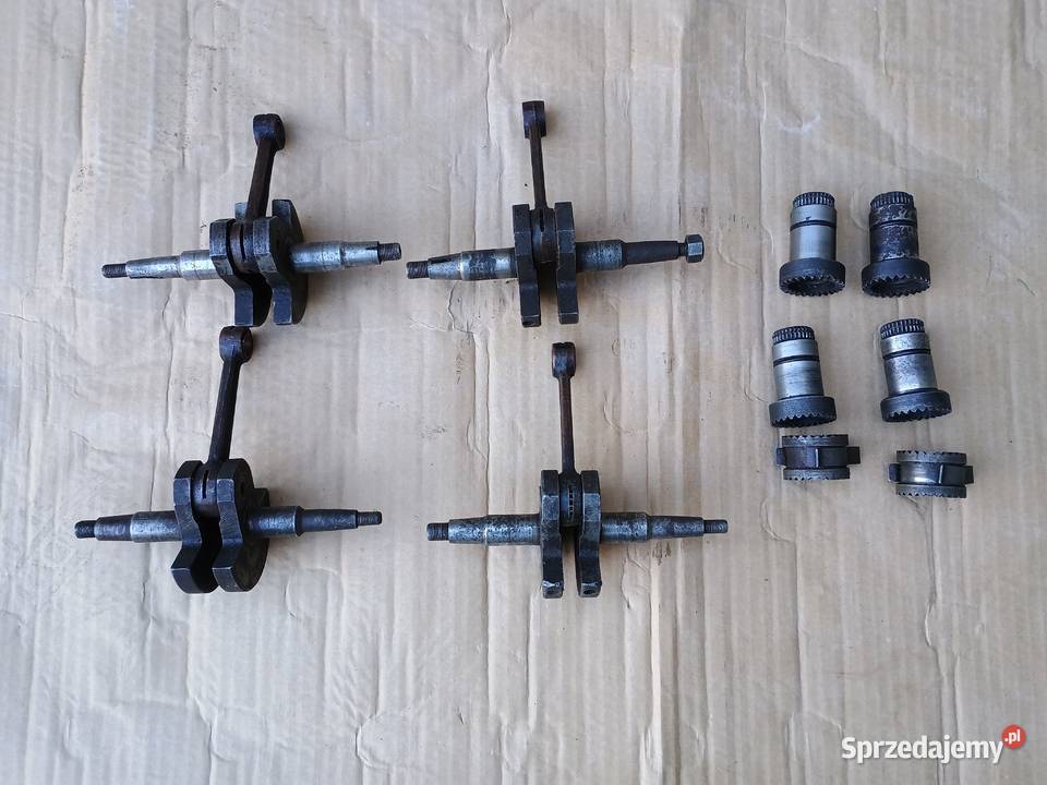 Komar Ryś części warmińsko-mazurskie Kurzętnik