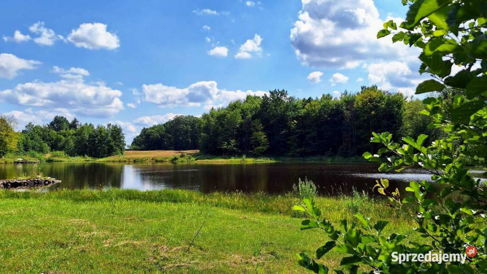 sprzedaży domu wolnostojącego 300m2 Toporzyk