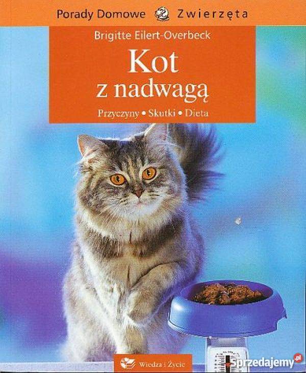 KOT Z NADWAGĄ PRZYCZYNY SKUTKI DIETA Rzeszów