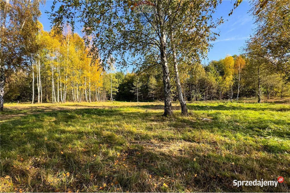 Działka budowlana w Jasienicy świetna