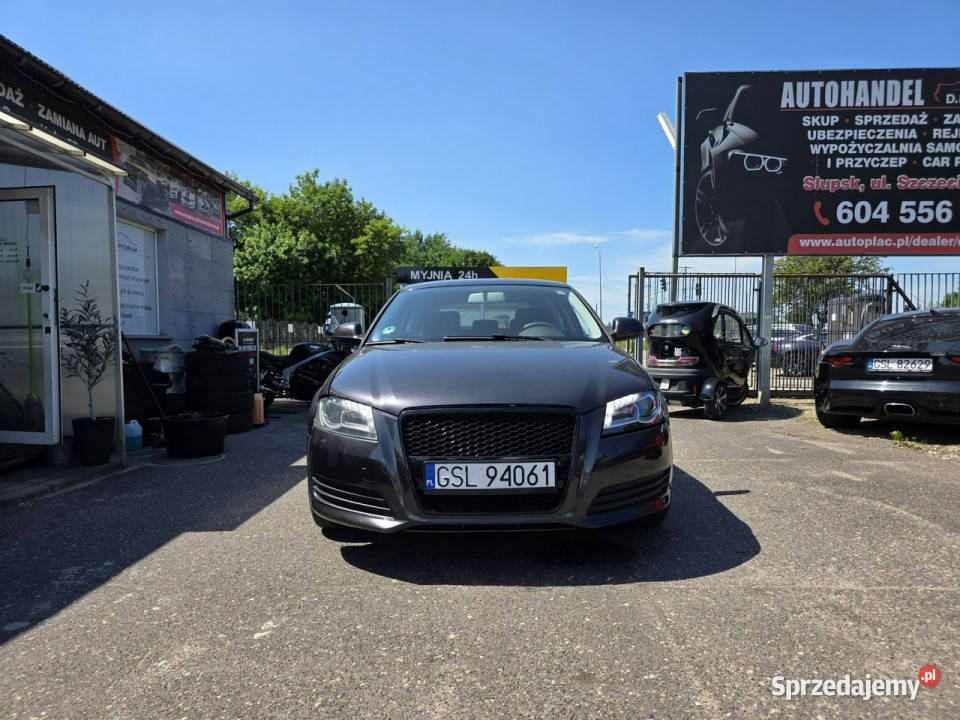 Audi A3 3drzwiowe 16 MPI 102 Daylight LED Xenon sprzedam