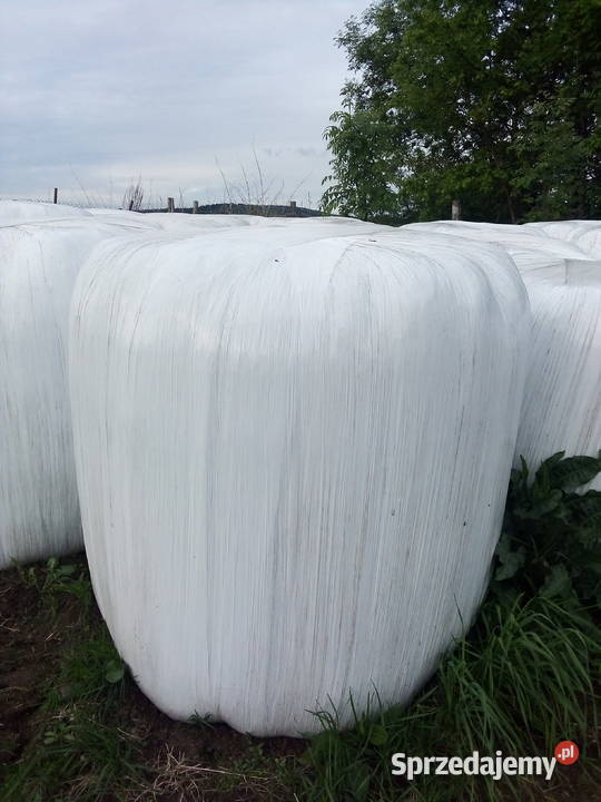 Sianokiszonka baloty Bodzentyn sprzedam