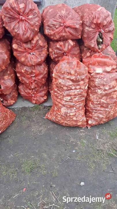 Drewno zrębki opałowe suche workowane 100x60 Sieklówka