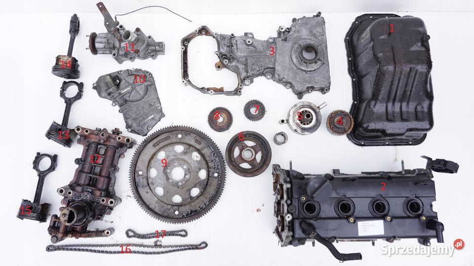 KOŁO ZĘBATE NISSAN NAVARA D40 FRONTIER 25 Nowy Tomyśl