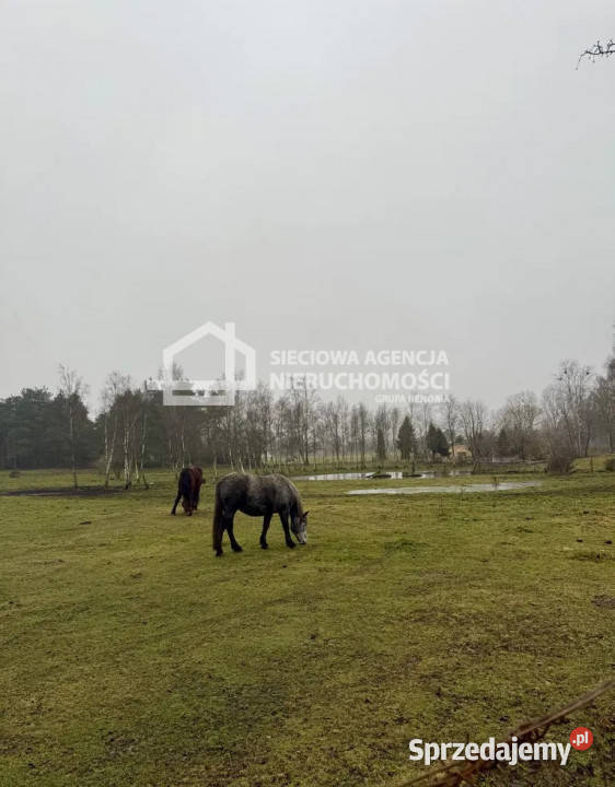 Ogłoszenie grunt 2500m2 Gdynia