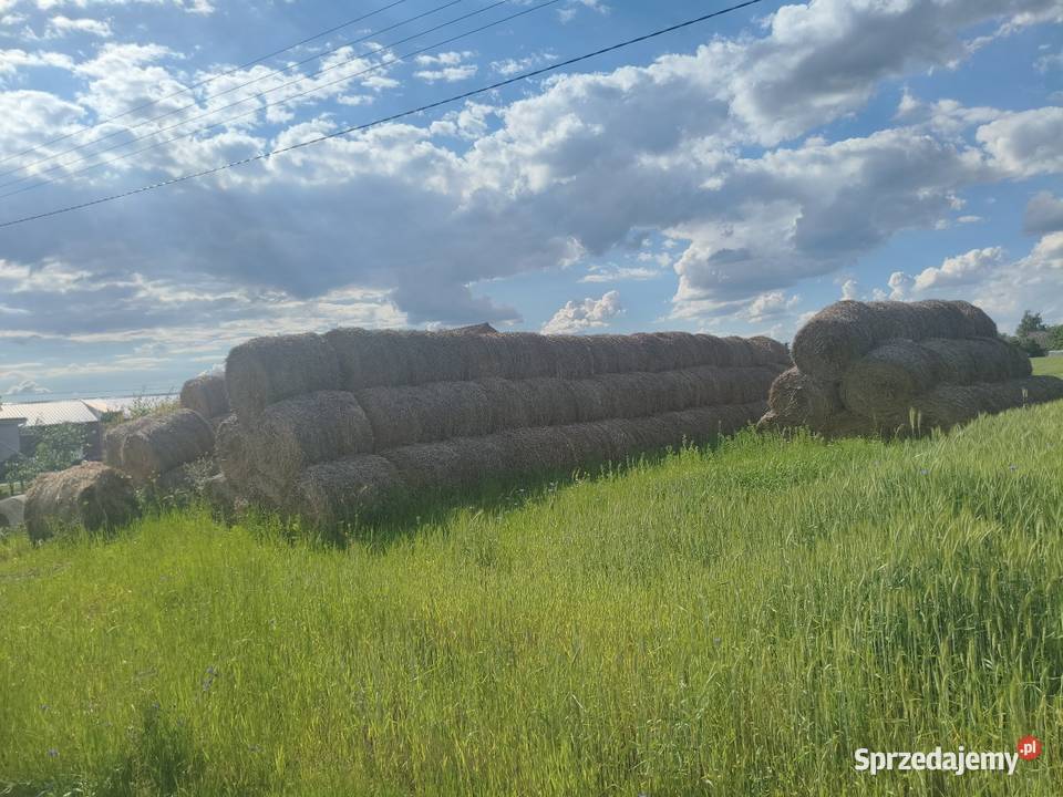 Słoma żniwa 2025 Owsianka Blizanów sprzedam
