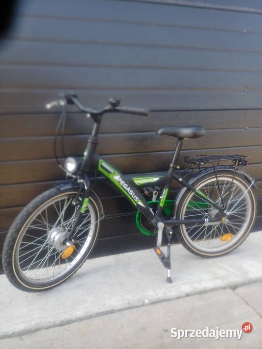 Pegasus 20 rower Kodeń