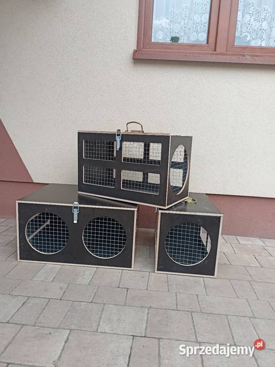 Transporter królików podkarpackie Leżajsk