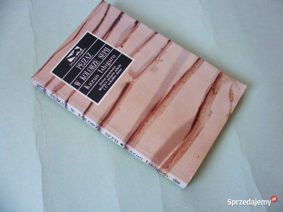 Zgliszcza Harrison Pejzaż w kolorze sepii dolnośląskie Oborniki Śląskie