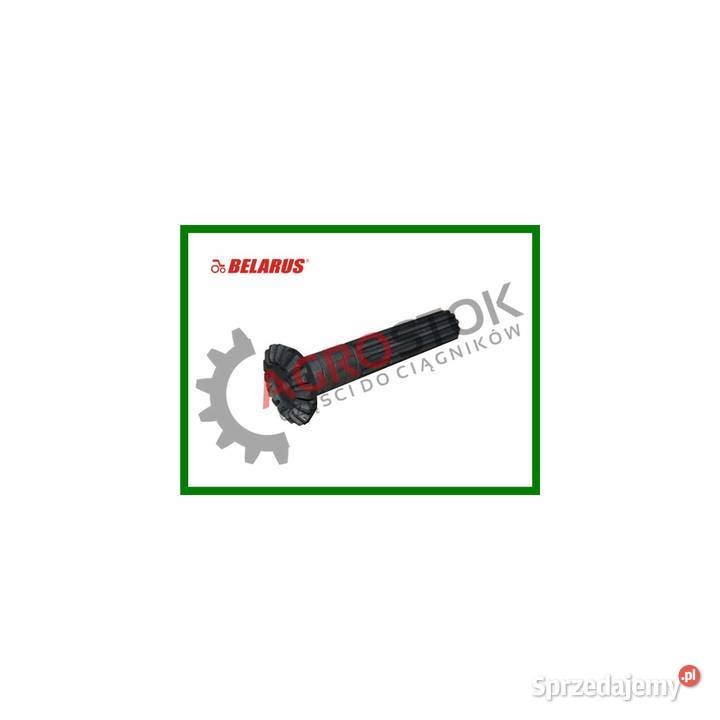 Koło zębate tylnego mostu mtz 320 Parczew sprzedam