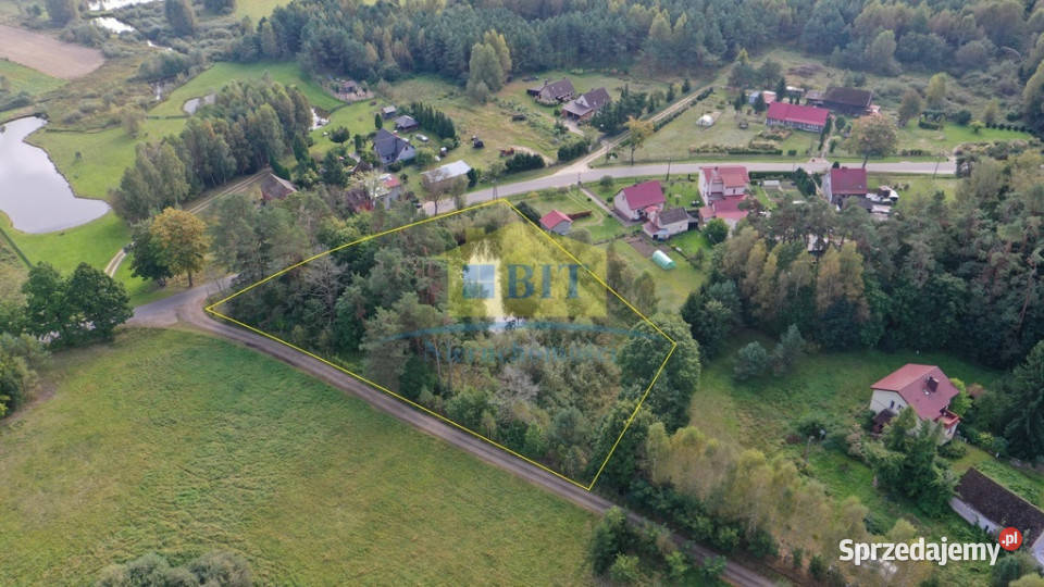 Działka z warunkami zabudowy Kołacz siatka Sprzedaż Sprzedaż