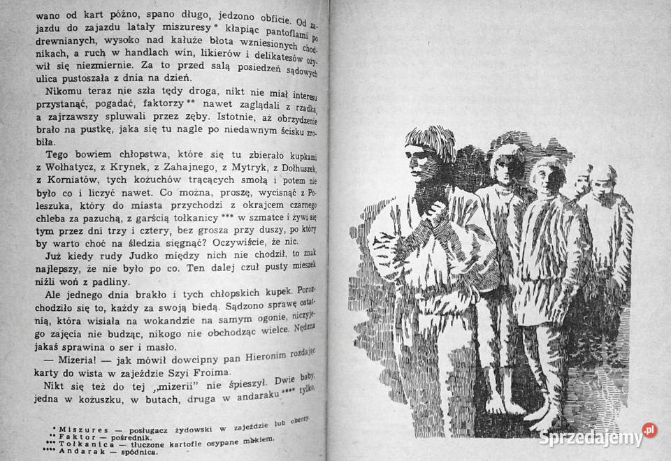 U źródła i inne nowele Maria Konopnicka sprzedam