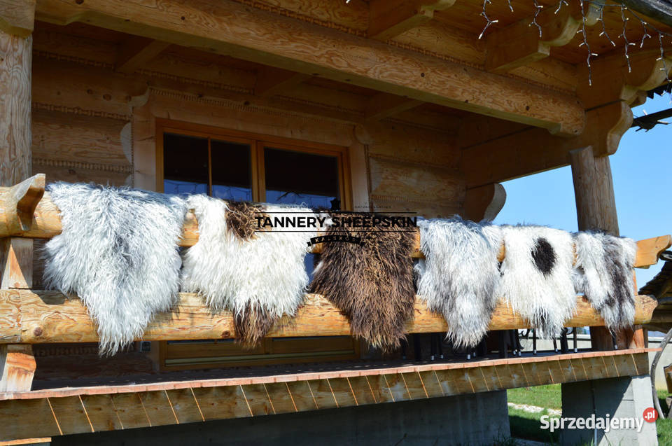 Skóra Owcza Naturalna Island Kręcony Włos Różne małopolskie