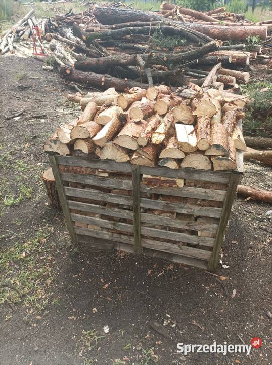 Sprzedam drewno kominkowe Częstochowa