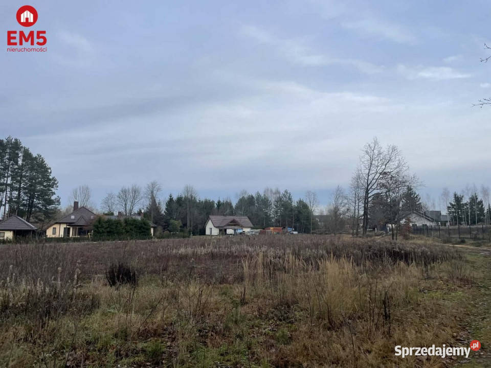 sprzedaży gruntu 6000m2 Skrybicze asfalt Sprzedaż Grunty i działki