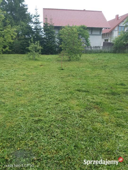 Koszenie kosą spalinową Gorzów Wielkopolski