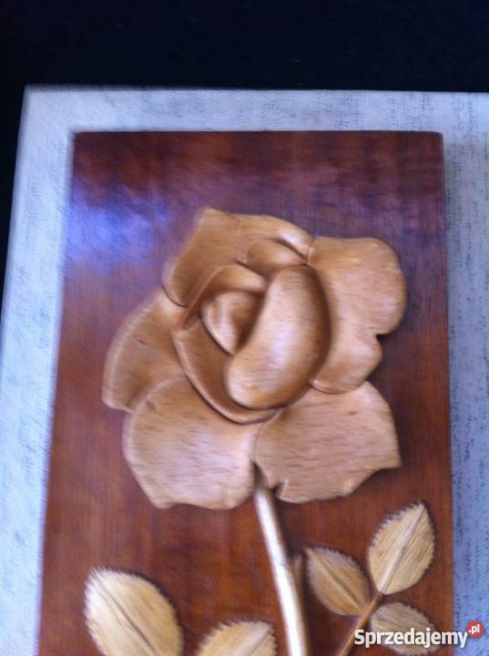 Obrazek z roza