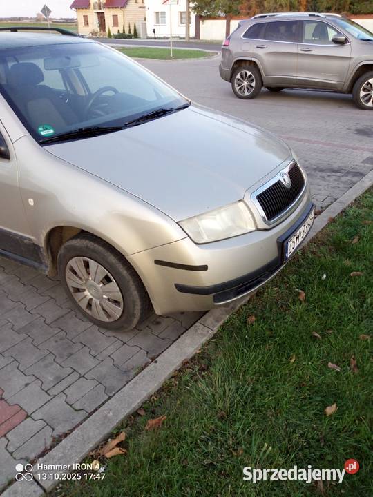 Fabia Borek Wielkopolski