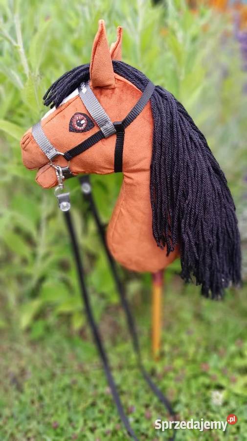 Konik hobby horse Kraków