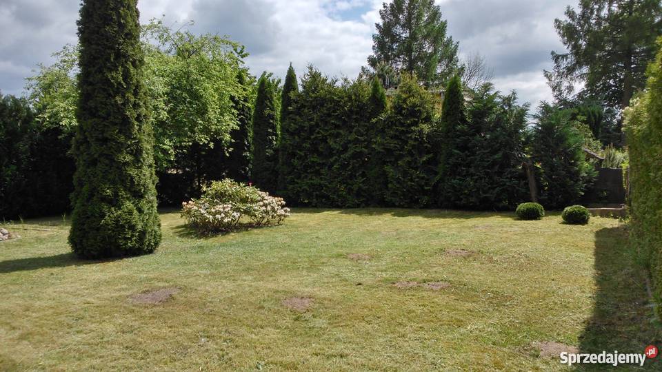 Działka rekreacyjna ROD w Janowie 567m2 prąd kujawsko-pomorskie Bydgoszcz