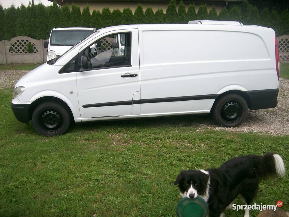 VITO Ładny Long Długi manualna łódzkie Łask