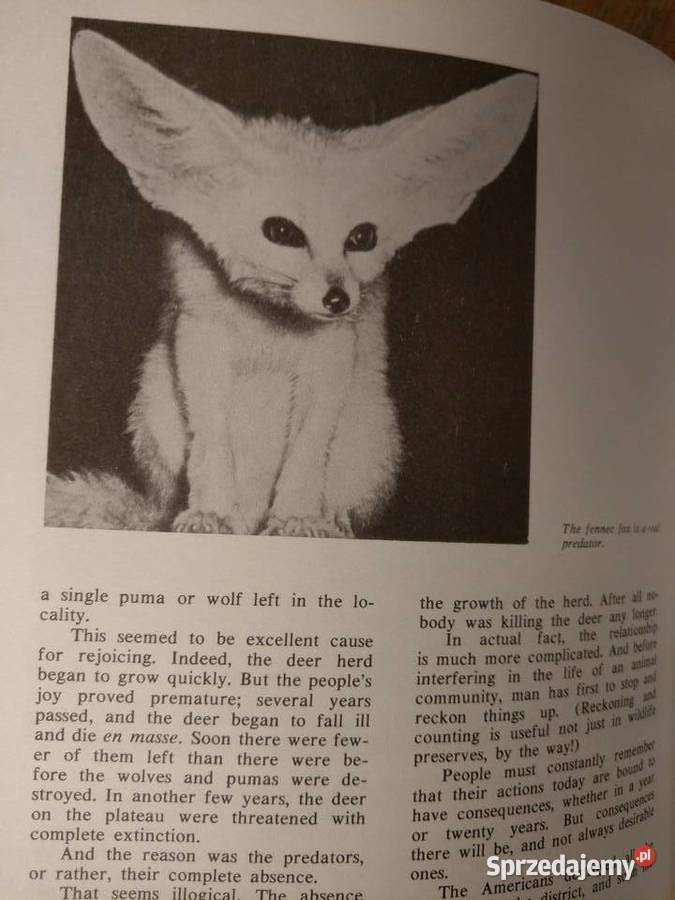 Man and Animals Dmitriyev Gdańsk