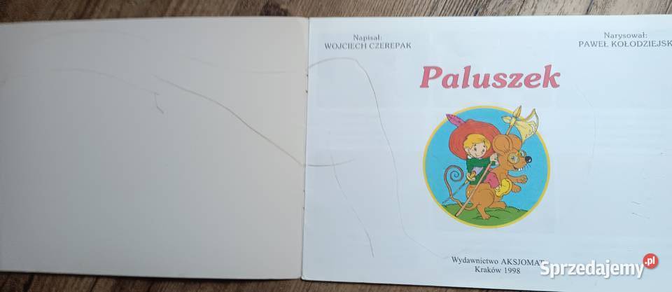 Paluszek Wojciech Czerepak Paweł Kołodziejski