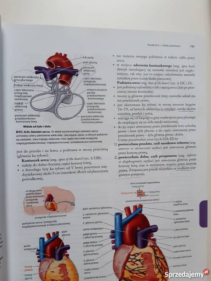 ANATOMIA MOORE TOM I TOM II Książki naukowe i popularnonaukowe Warszawa
