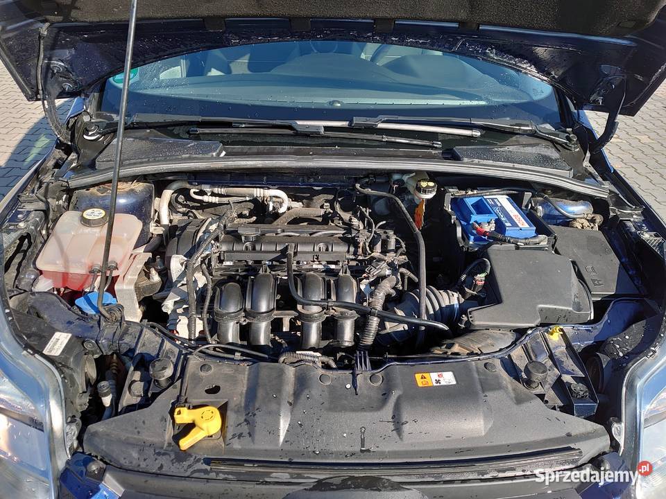 Ford Focus 16 Duratec 125 mały przebieg 79 elektrochrom. lusterka boczne