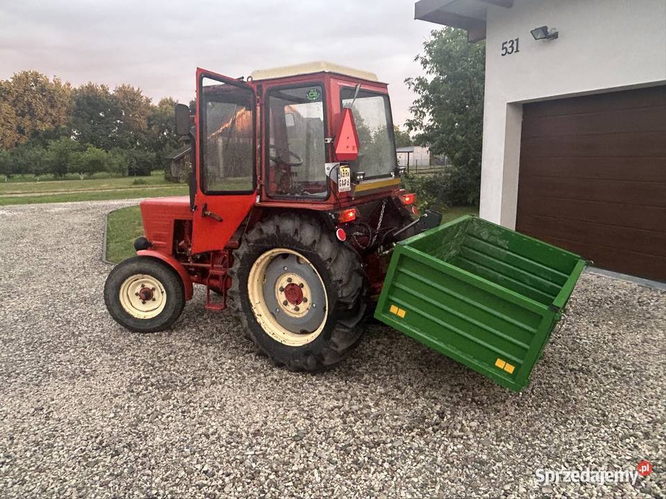 T25 Wladimirec 82r 3220mth Borzęcin