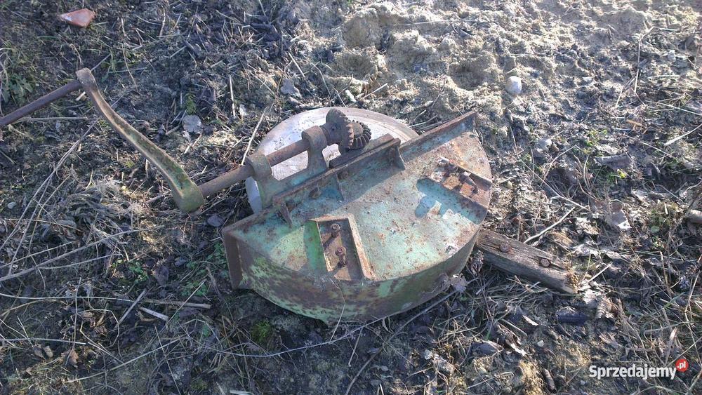 Toczak Pozostałe wielkopolskie Skoków