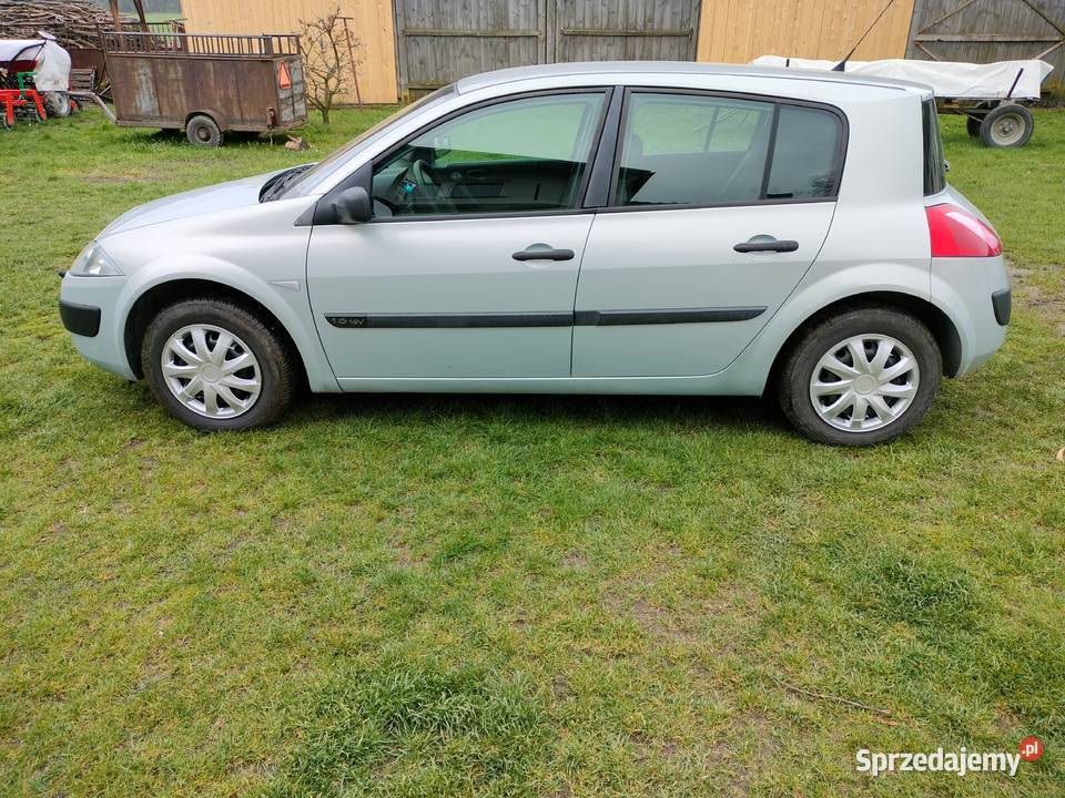 Fajna Meganka 2 Małomierzyce