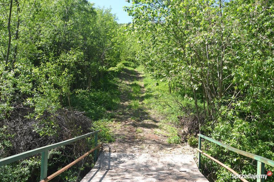 Działka gospodarstwo rolne Łukowica małopolskie Łukowica sprzedam