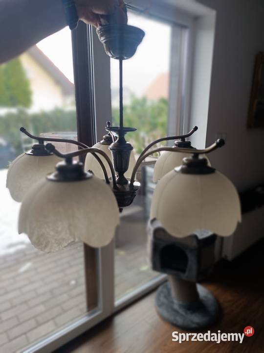 Zestaw Aldex stylowy żyrandol lampa Gniezno