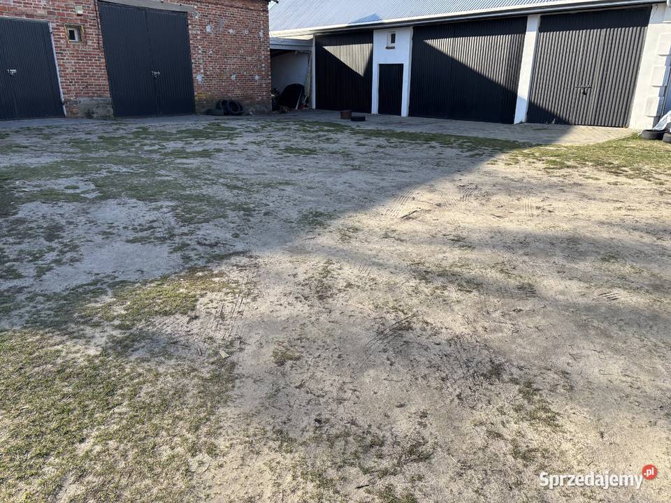 Dom siedlisko warsztat agroturystyka hostel Wielgolas