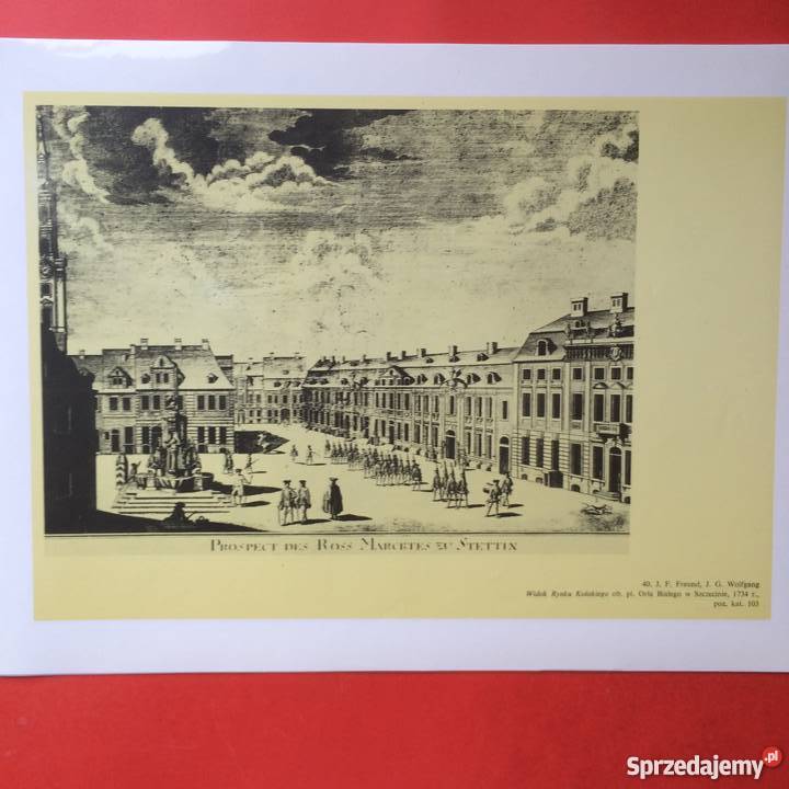 890 Grafika i Rysunki Szczecina zachodniopomorskie Szczecin sprzedam