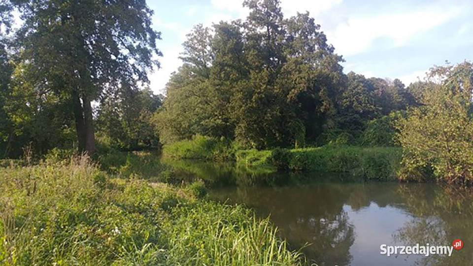 Działka rzeką Rawką 2500m2 Laski
