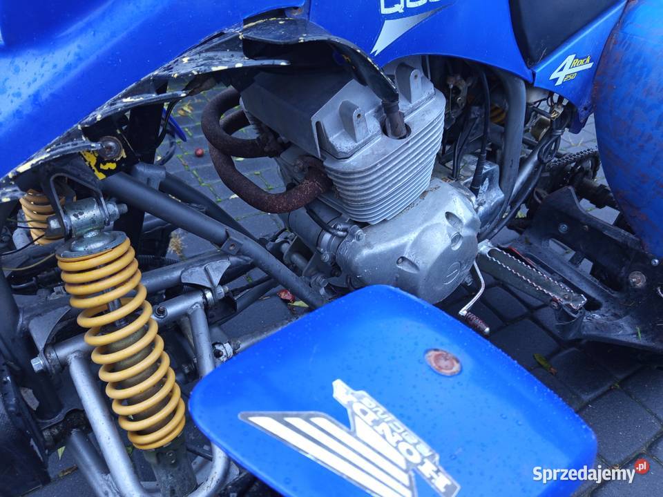 Barossa lubelskie Krzywice