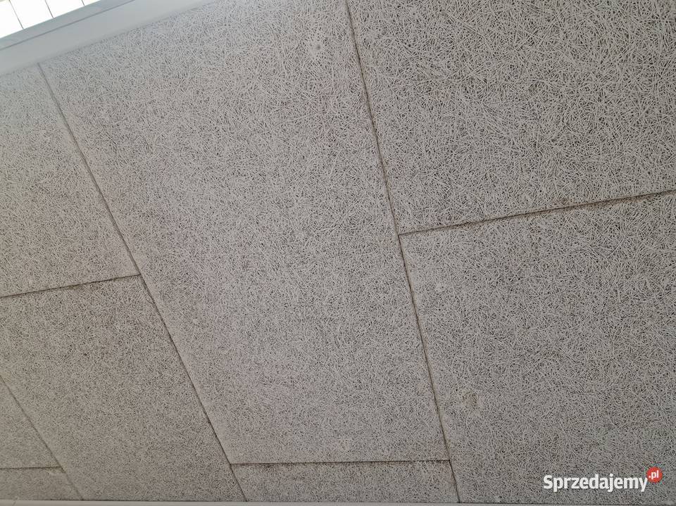 Kontener biurowy z łazienką Odnawiany Bolesławiec