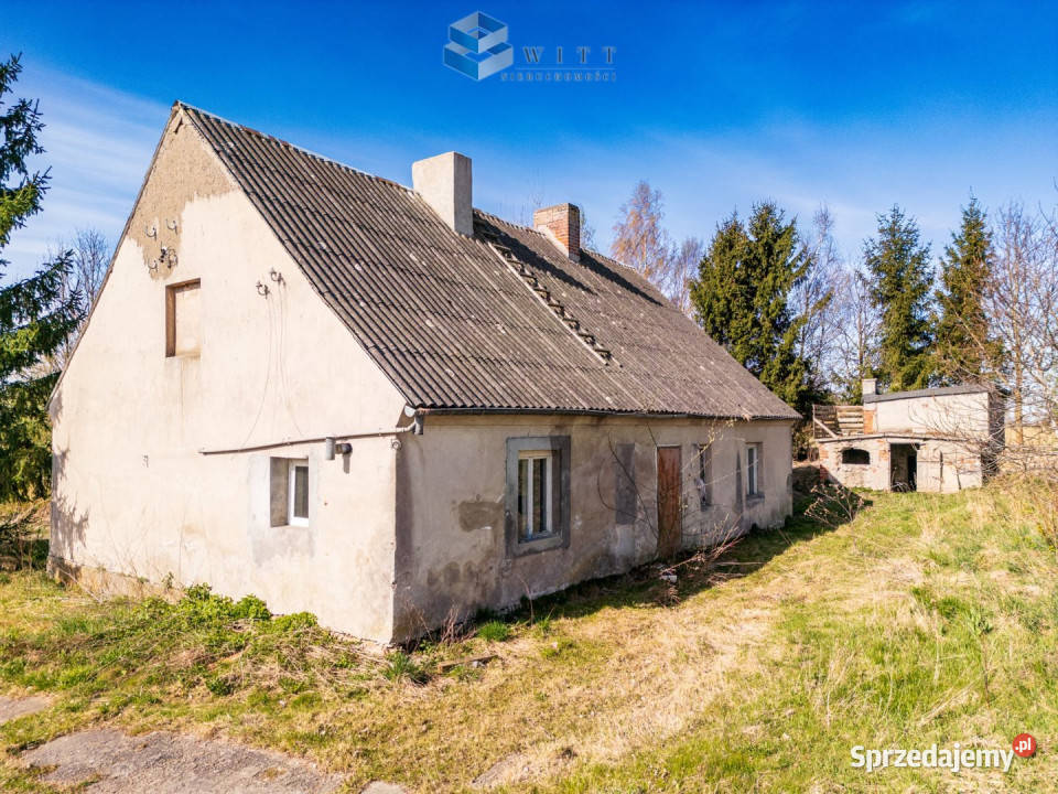 sprzedaży działki Leszczynka Mała 5000m2 Grunty i działki