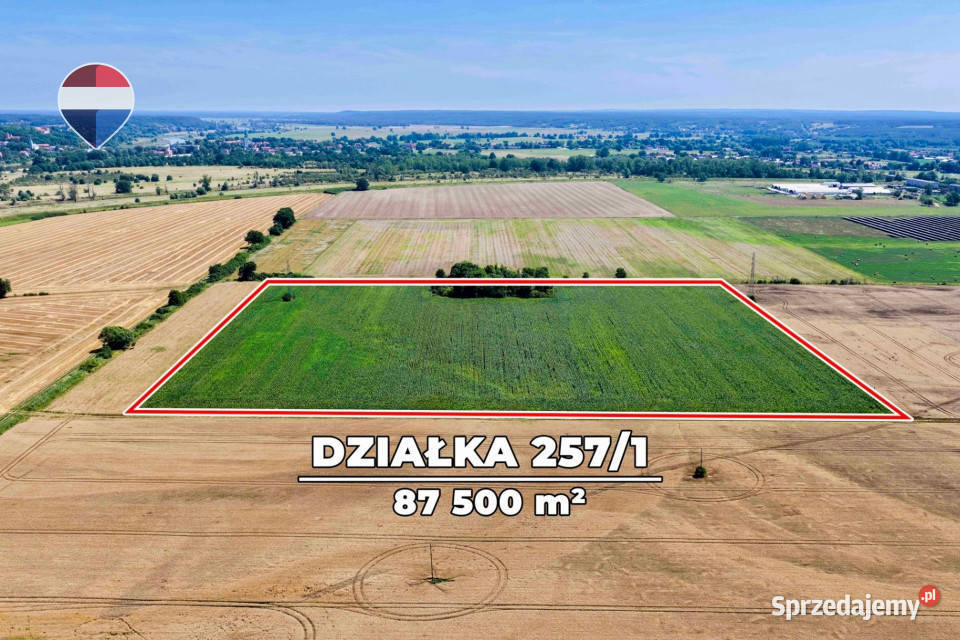 Na sprzedaż grunty orne RIIIa 875 ha Stary Raduszec
