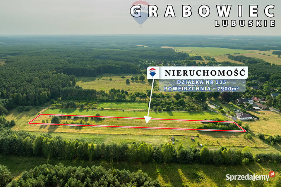 Na sprzedaż działka rolna 7900 m2 pod lasem 0m lubuskie sprzedam