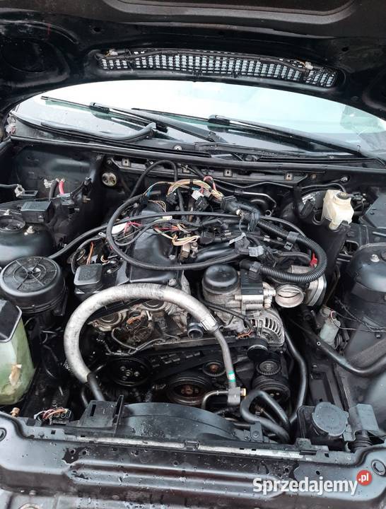 Silnik N42B20 na części Rok produkcji 2003