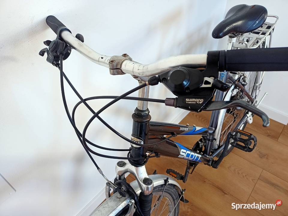 Scott Biaxial Sonoma damka 28 Nowy Żmigród