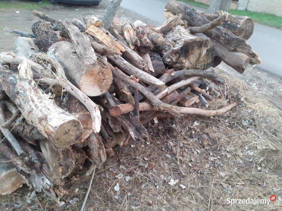 DREWNO SUCHE LIŚCIASTE OSIKA 12 mp 95 mp Warszawa