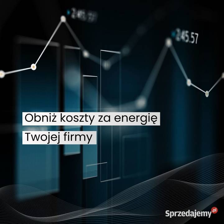 Obniż koszty swojej firmy optymalizacja