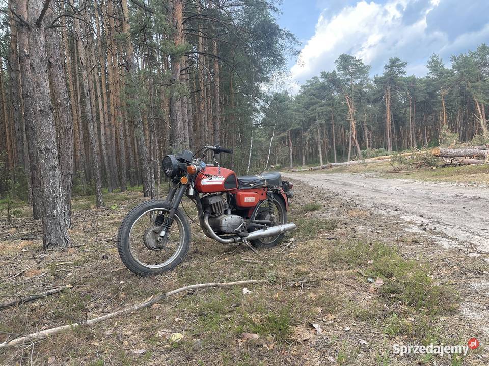 cz175