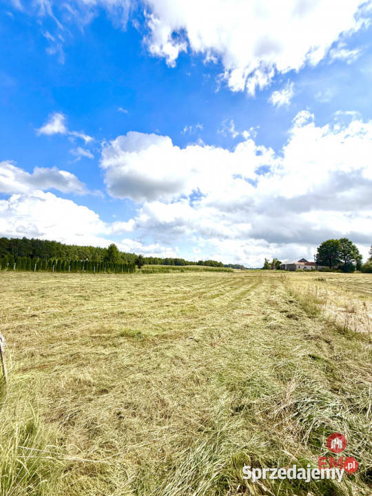sprzedaży gruntu 2000m2 Przejma Wysoka asfalt